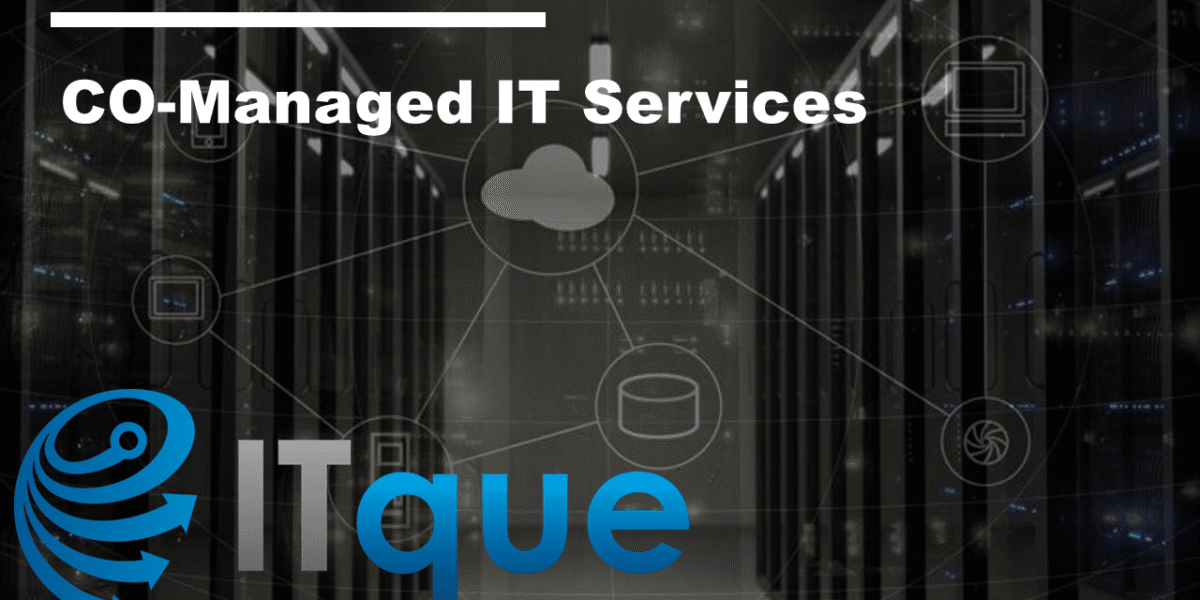 Co-Managed IT Services Co managed IT Services CoManaged IT services